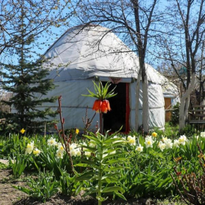 Yurt In My Garden